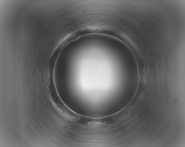 X0000078830448200611131127