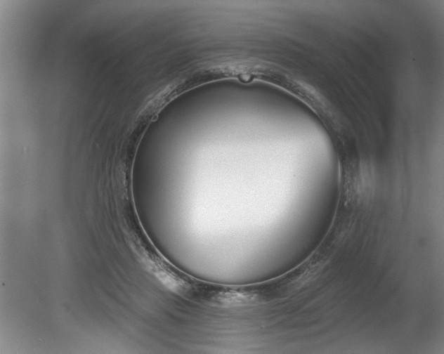 X0000078830453200611131127