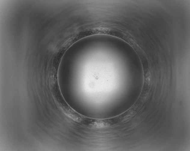 X0000078830464200611131127
