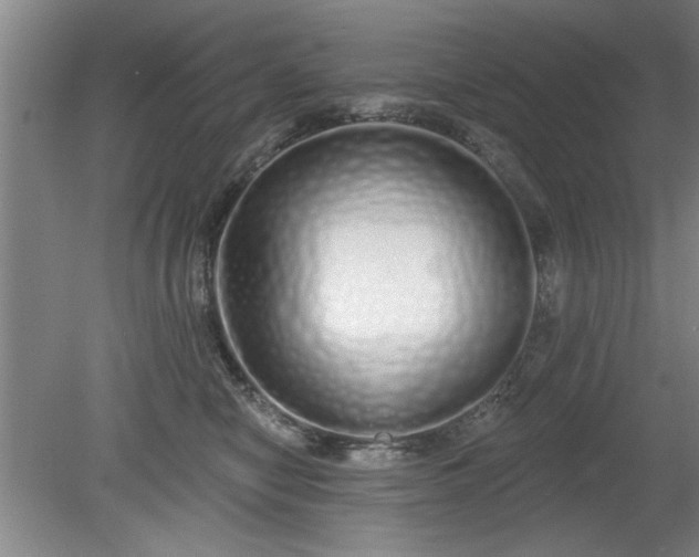 X0000078830470200611131127