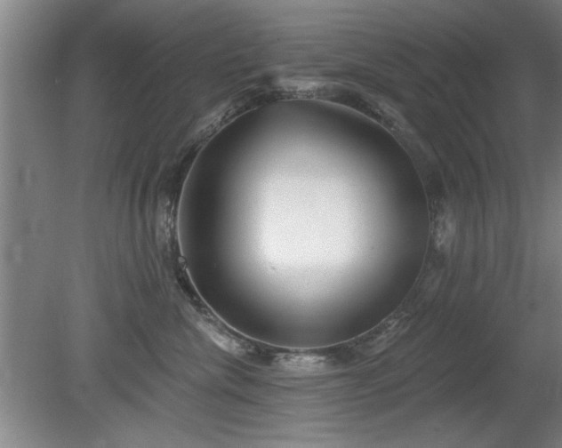 X0000078830476200611131127