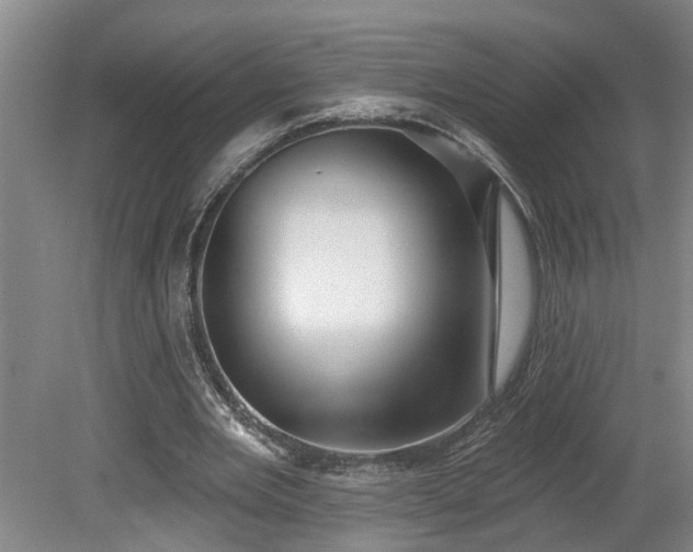 X0000078830485200611131127