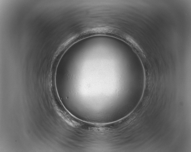 X0000078830486200611131127
