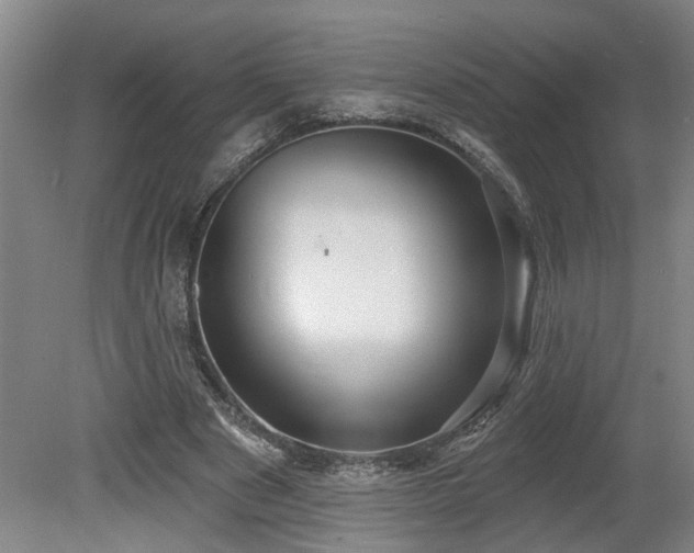 X0000078830489200611131127