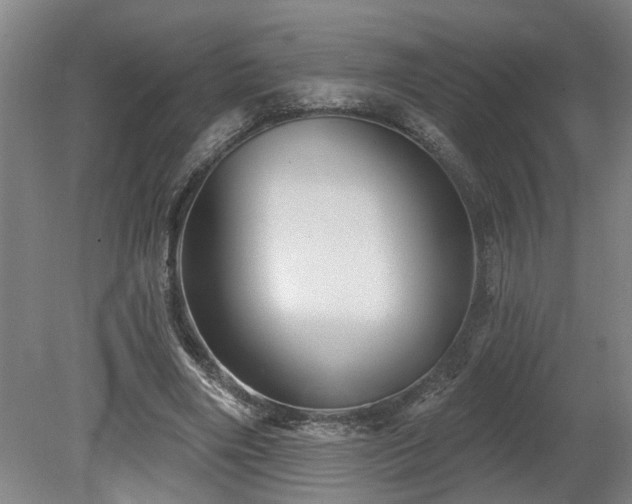 X0000078830490200611131127