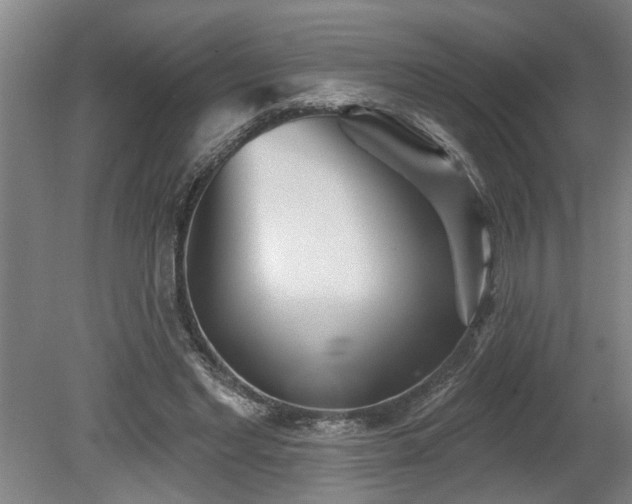 X0000078830493200611131126