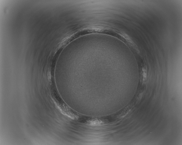 X0000078830500200611131126