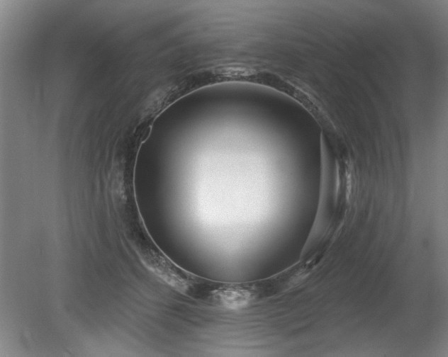 X0000078830512200611131126