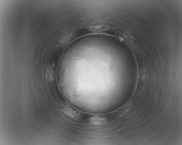X0000078830515200611131126