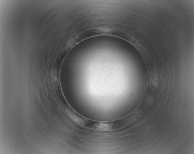 X0000078830518200611131126
