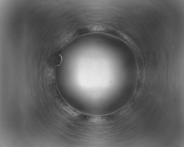 X0000078830521200611131126