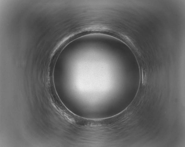 X0000078830531200611131125