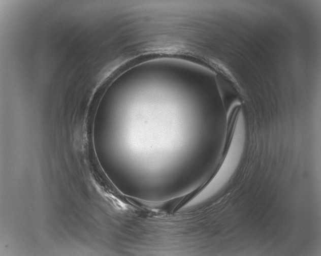 X0000078830532200611131125