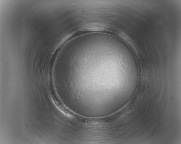 X0000078830533200611131125