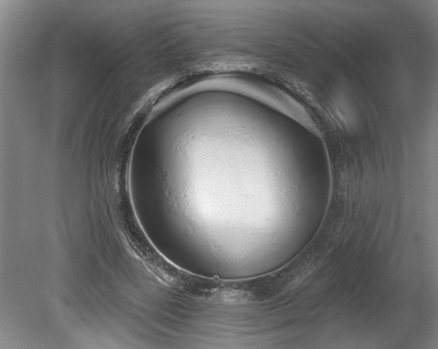 X0000078830539200611131125