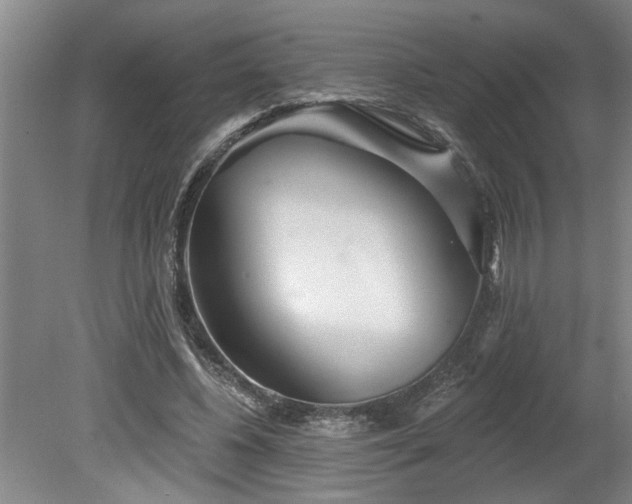 X0000078830540200611131125