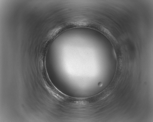 X0000078830541200611131125