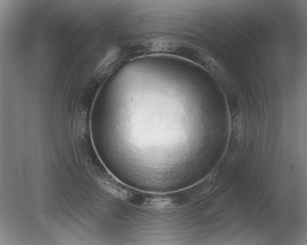 X0000078830554200611131125
