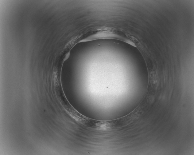 X0000078830564200611131126