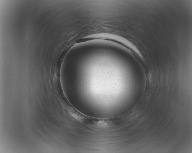X0000078830566200611131126