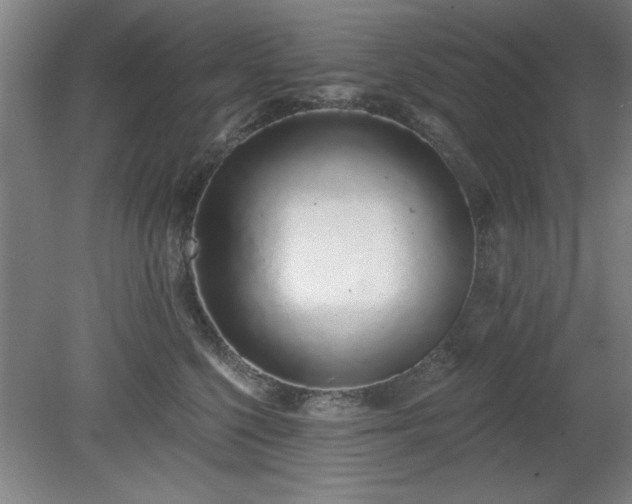 X0000078830568200611131126