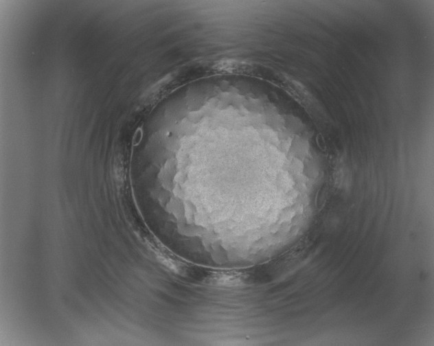 X0000078830569200611131126