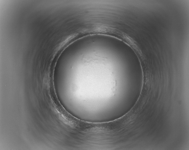 X0000078830578200611131125