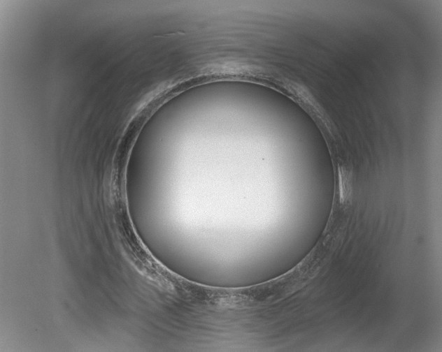 X0000078830579200611131125