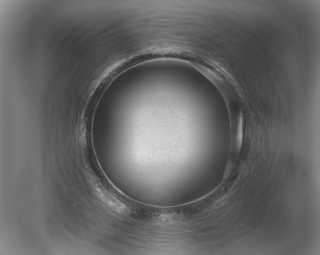 X0000078830584200611131125