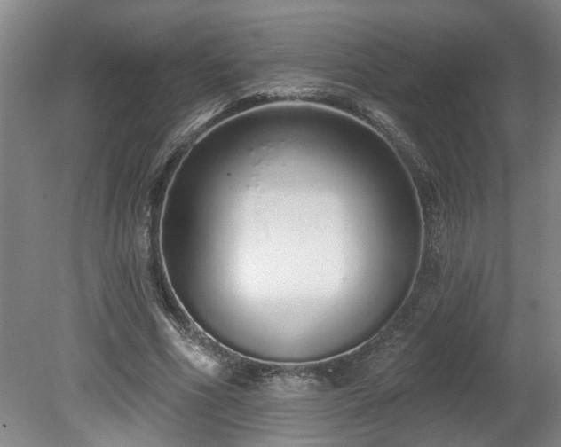 X0000078830586200611131125