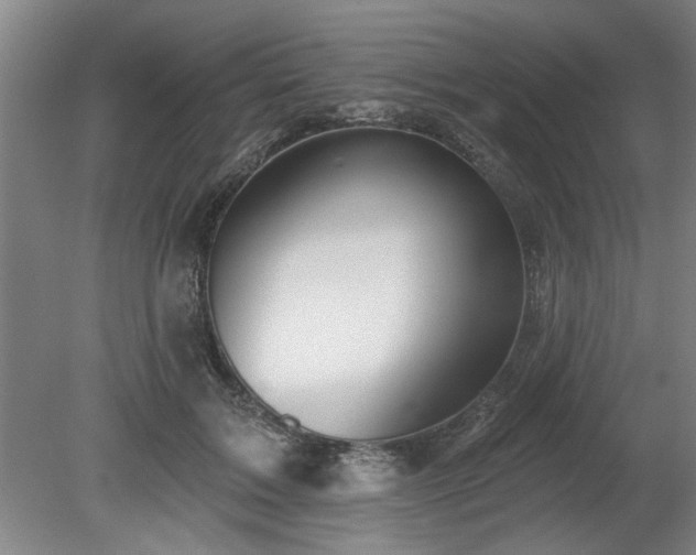 X0000078830603200611131125