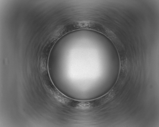 X0000078830606200611131125