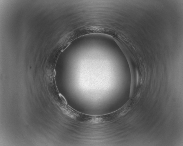 X0000078830609200611131124