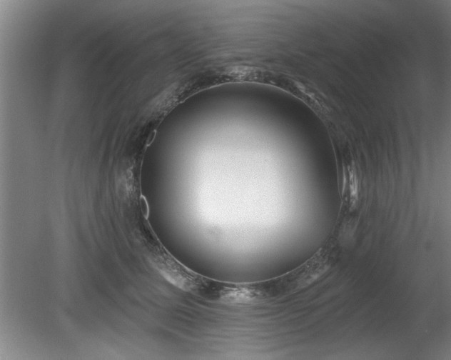 X0000078830611200611131124