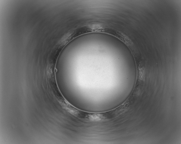 X0000078830618200611131124