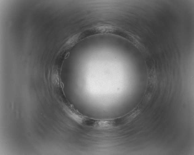 X0000078830622200611131124