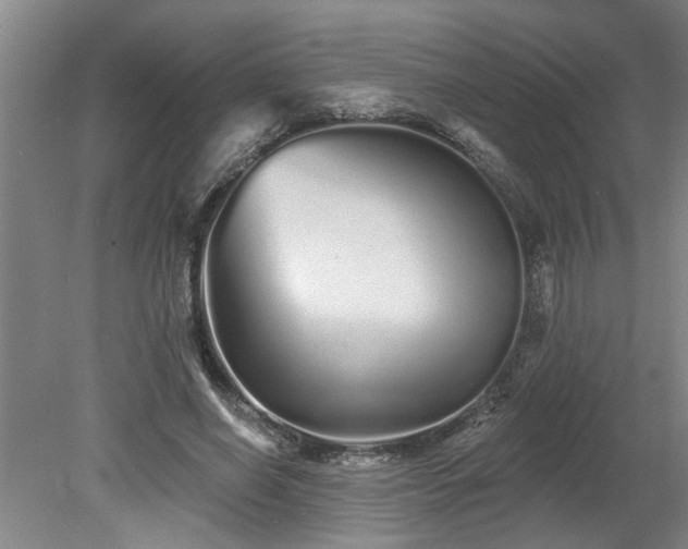 X0000078830638200611131124