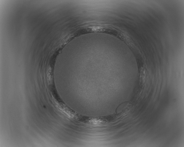 X0000078830650200611131124