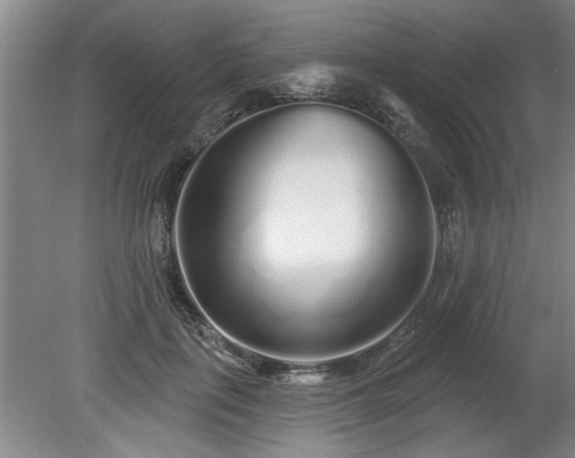 X0000078830651200611131124