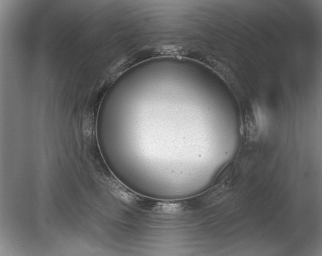 X0000078830665200611131124