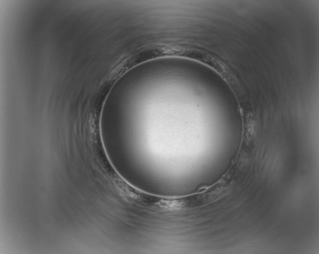 X0000078830667200611131124
