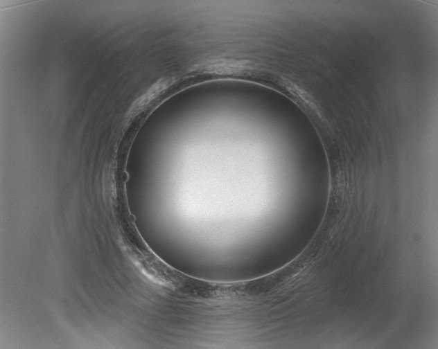 X0000078830682200611131123