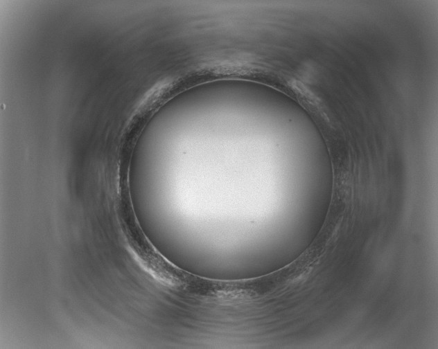 X0000078830686200611131123