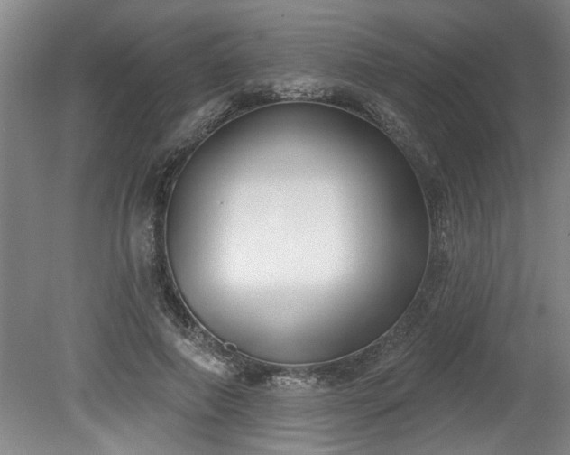 X0000078830690200611131123
