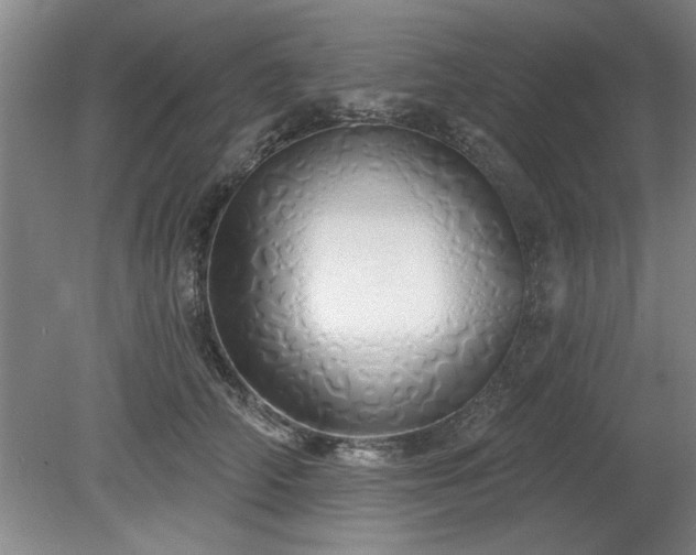 X0000078830706200611131123
