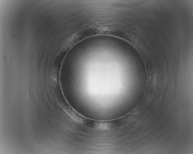 X0000078830710200611131123