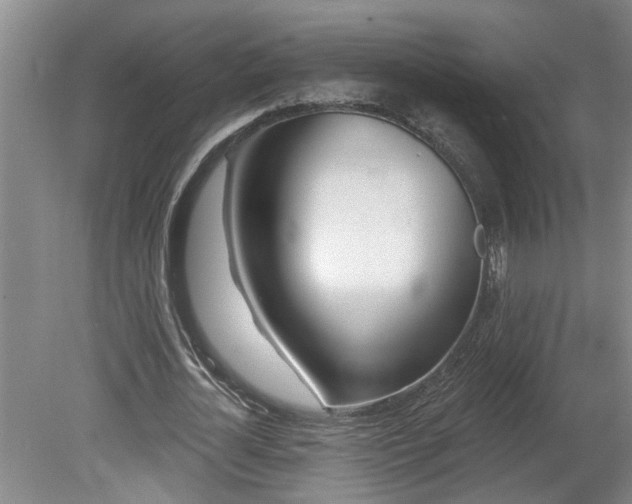 X0000078830724200611131122