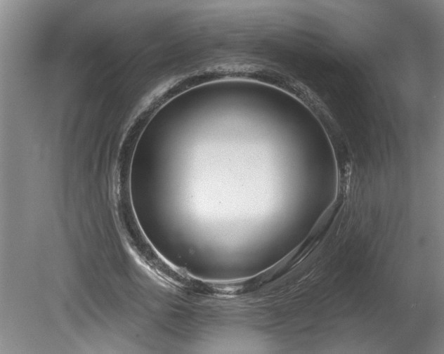 X0000078830726200611131122