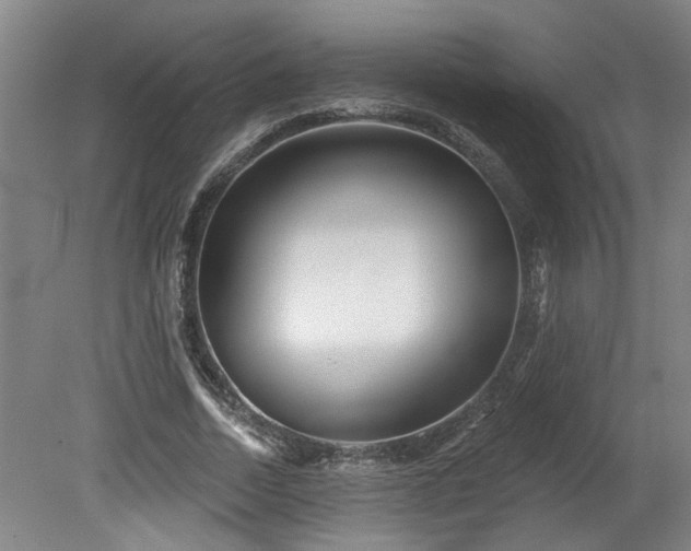 X0000078830730200611131122