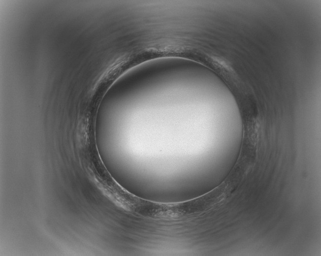 X0000078830735200611131122